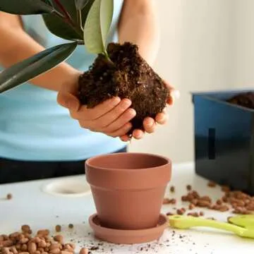 KOAMLY Mini Terracotta Pots Set - Perfect for Gardening Gifts