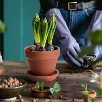 KOAMLY Mini Terracotta Pots Set - Perfect for Gardening Gifts