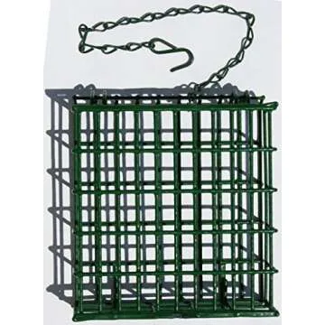 C&S Wild Bird EZ Fill Suet Basket, Green