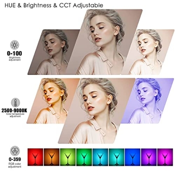 Adjustable Brightness Video Conference Lighting Kit