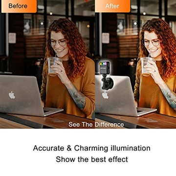 Adjustable Brightness Video Conference Lighting Kit