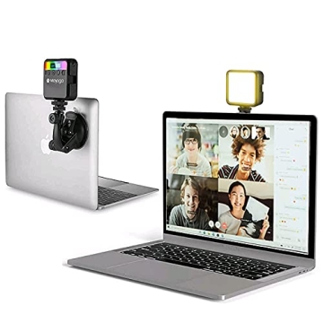 Adjustable Brightness Video Conference Lighting Kit