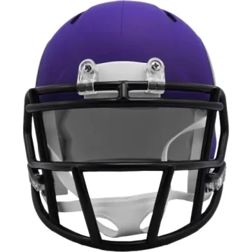 Riddell NFL Mini Helmet for True Sports Fans