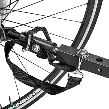 Allen Sports Deluxe Steel Child Bike Trailer Safe Rides