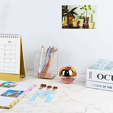 Stylish Rose Gold Acrylic Pencil Holder for Any Space