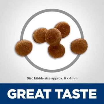 Hill's Science Diet Premium Kitten Dry Cat Food, 6 lb