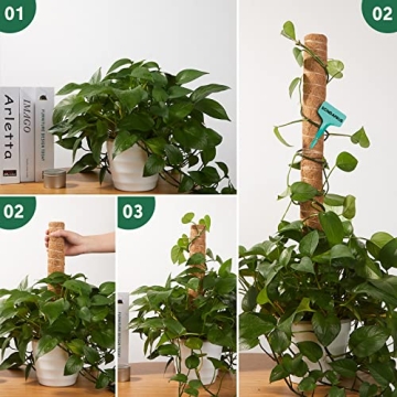 10 Pack Moss Pole for Thriving Indoor Climbing Plants