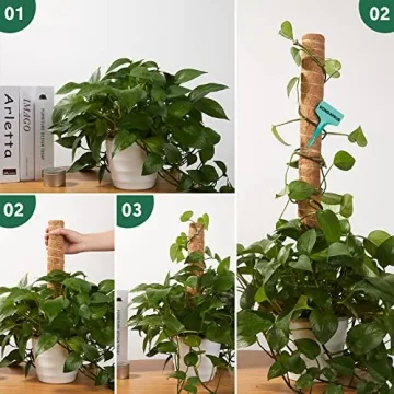 10 Pack Moss Pole for Thriving Indoor Climbing Plants