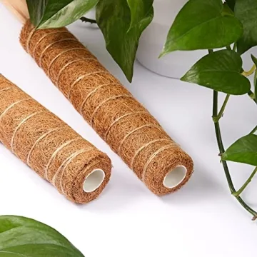 10 Pack Moss Pole for Thriving Indoor Climbing Plants