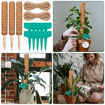 10 Pack Moss Pole for Thriving Indoor Climbing Plants