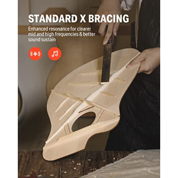 Complete Beginner Acoustic Guitar Kit with Lessons