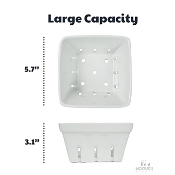 Ceramic Berry Basket for Fresh Fruits and Kitchen Style