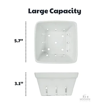 Ceramic Berry Basket for Fresh Fruits and Kitchen Style