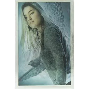 Maximum Ride Box Set - 6 Exciting Volumes Included