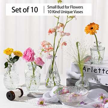 PURVONNIE Vintage Small Vases for Flowers Set of 10, Mini Bud Vases for Flowers,Clear Small Vases in Bulk for Centerpieces Decorations,Wedding Party Home Coffee Table Flower Decor (Clear)