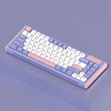 DUSTSILVER Wireless Mechanical Keyboard with RGB Backlighting
