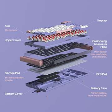 DUSTSILVER Wireless Mechanical Keyboard with RGB Backlighting