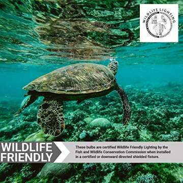 Sunlite LED A19 Colored Light Bulb - Energy Efficient Red