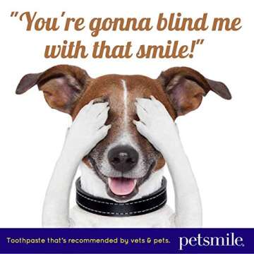 Petsmile Professional Pet Toothpaste - Cat & Dog Toothpaste for Plaque, Tartar, & Bad Breath - VOHC ...