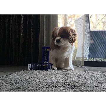 Petsmile Professional Pet Toothpaste for Healthier Smiles