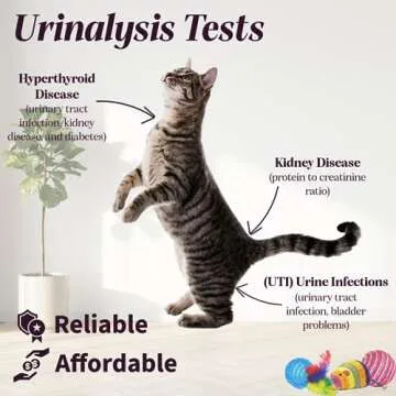One Step Pet Urine Testing Strips, 50 x Urinalysis Parameter Tests for Dogs, Cats, Vets, Accurate Testing for Veterinarians, Detects UTI, Diabetes, Bladder, Kidney, Liver, SG, pH, Glucose