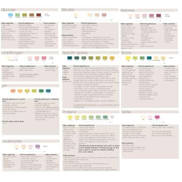 One Step Pet Urine Testing Strips, 50 x Urinalysis Parameter Tests for Dogs, Cats, Vets, Accurate Testing for Veterinarians, Detects UTI, Diabetes, Bladder, Kidney, Liver, SG, pH, Glucose