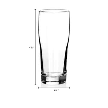 North Mountain Supply Beer Tasting Glasses Set of 6