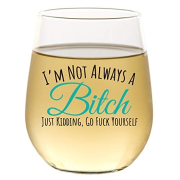 Funny Wine Glass for Women Men | Wine Gifts for Women | Cute Stemless Wine Glass | Funny Christmas B...