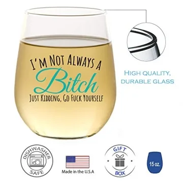 Funny Stemless Wine Glass for Friends | Best Gift for Laughs