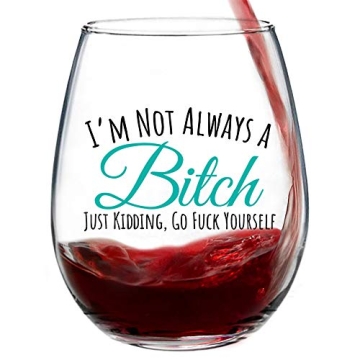 Funny Stemless Wine Glass for Friends | Best Gift for Laughs