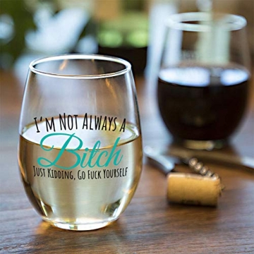 Funny Stemless Wine Glass for Friends | Best Gift for Laughs
