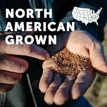 Barleans, Forti Flax Organic, 14 Ounce