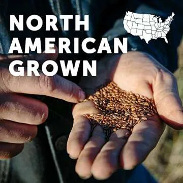 Barleans, Forti Flax Organic, 14 Ounce