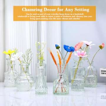 Brajttt Clear Flower Vase Set, Glass Bud Vase in Bulk Set of 8,Artistic and Cultural Flavor Mini Vases for Home Office Decor, Bedroom, Office, Living Room Decorations,Wedding