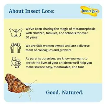 Insect Lore Butterfly Pavilion with Live Caterpillars Kit