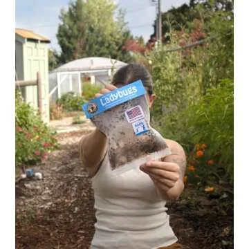 3000 Live Ladybugs - (2 X 1500 Live Ladybugs) - Guaranteed Live Delivery!