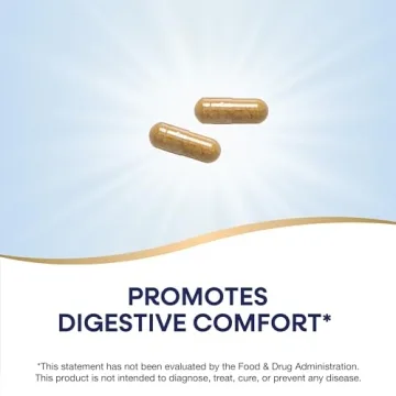 Nature's Way Ginger Root 1100mg Herbal Supplement Vegan