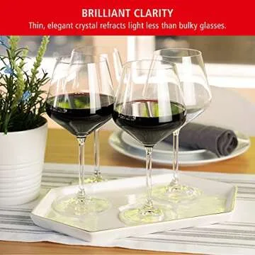 Spiegelau Burgundy Wine Glass Set - Lead-Free Crystal