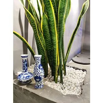 Small Blue & White Porcelain Vases for Elegant Decor