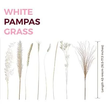 Natural Dried Pampas Grass Bouquet for Elegant Decor