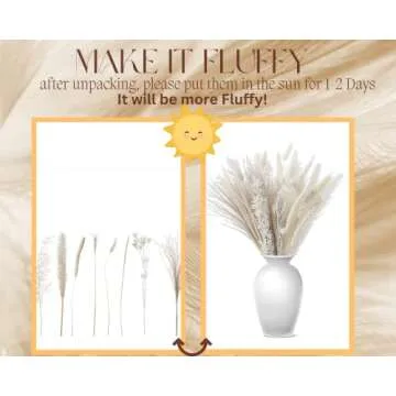 Natural Dried Pampas Grass Bouquet for Elegant Decor