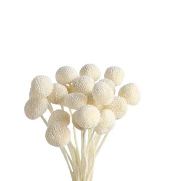 Natural Dried Pampas Grass Bouquet for Elegant Decor