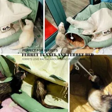 KUCDBUN Cat Tunnel Bed, 2-in-1 Collapsible Cat Tunnel Tubes Toys with Removable Mat for Pet Cats Kittens Puppies Rabbits Bunnies Ferrets (Matcha)