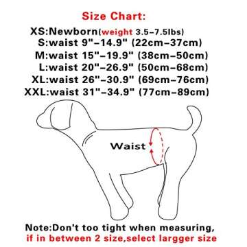 JoyDaog Female Dog Diapers 4 Pack - Comfortable & Reusable