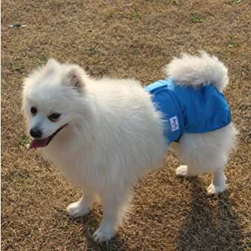 JoyDaog Female Dog Diapers 4 Pack - Comfortable & Reusable