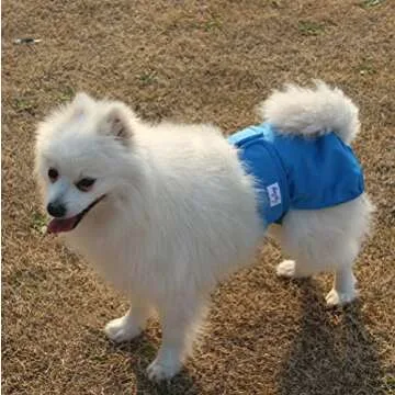 JoyDaog Female Dog Diapers 4 Pack - Comfortable & Reusable