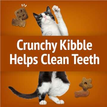 Friskies Party Mix Chicken Lovers Crunch Cat Treats