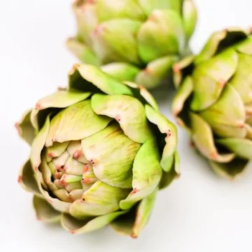 Meiwlong Realistic Faux Artichokes for Home Decor