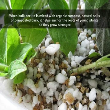 Supreme Coarse Grade Perlite for Healthy Plant Growth