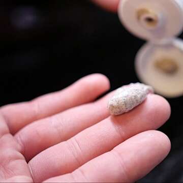 Best Face Wash for Men - Lather & Wood's Face Scrub - Luxurious Exfoliating Mens Face Wash for the Man's Man. 4oz Facial Cleanser for Men.